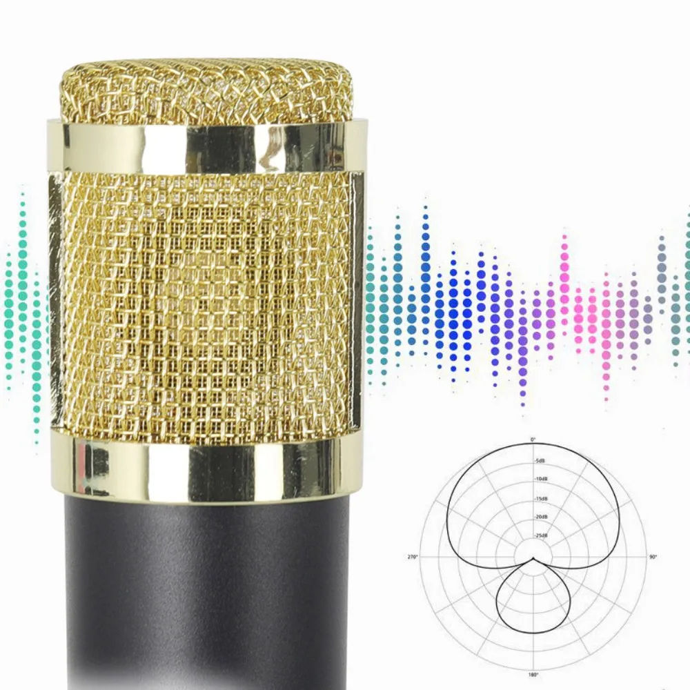 Micro Studio BM800 + Carte Son V8